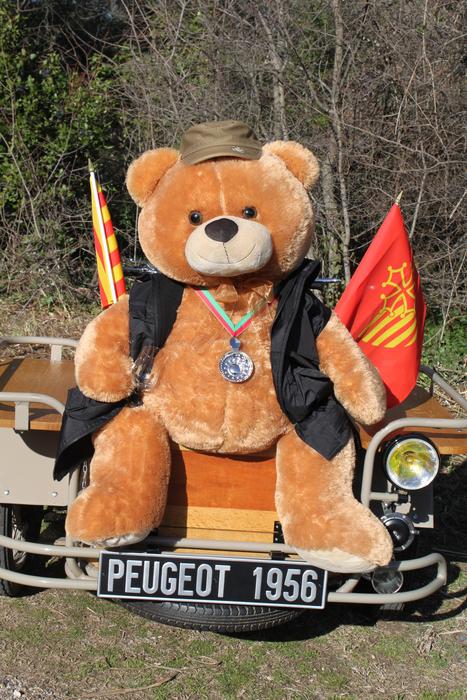 a big bear on a car