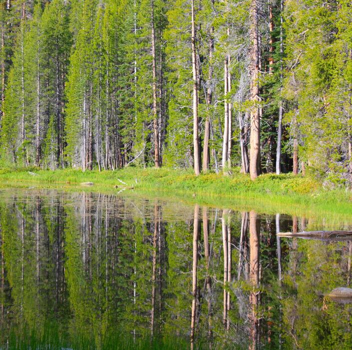 Yosemite Parc Mountain