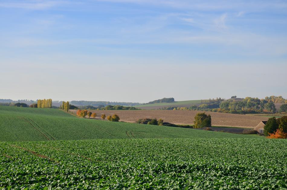 Follow Lommatzscher Care