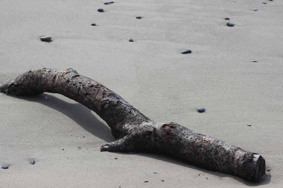 Log Sand