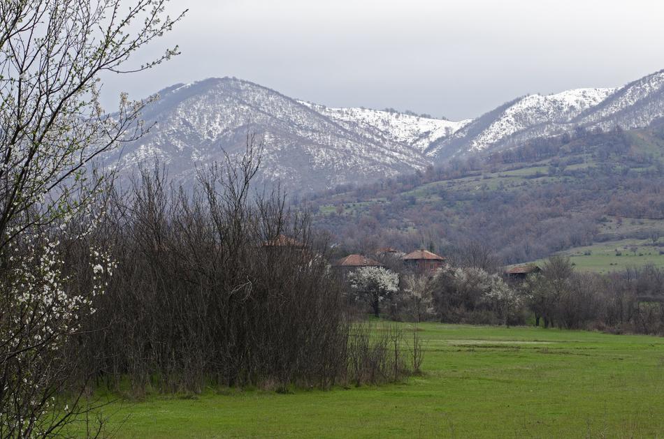 Snow Meadow Village