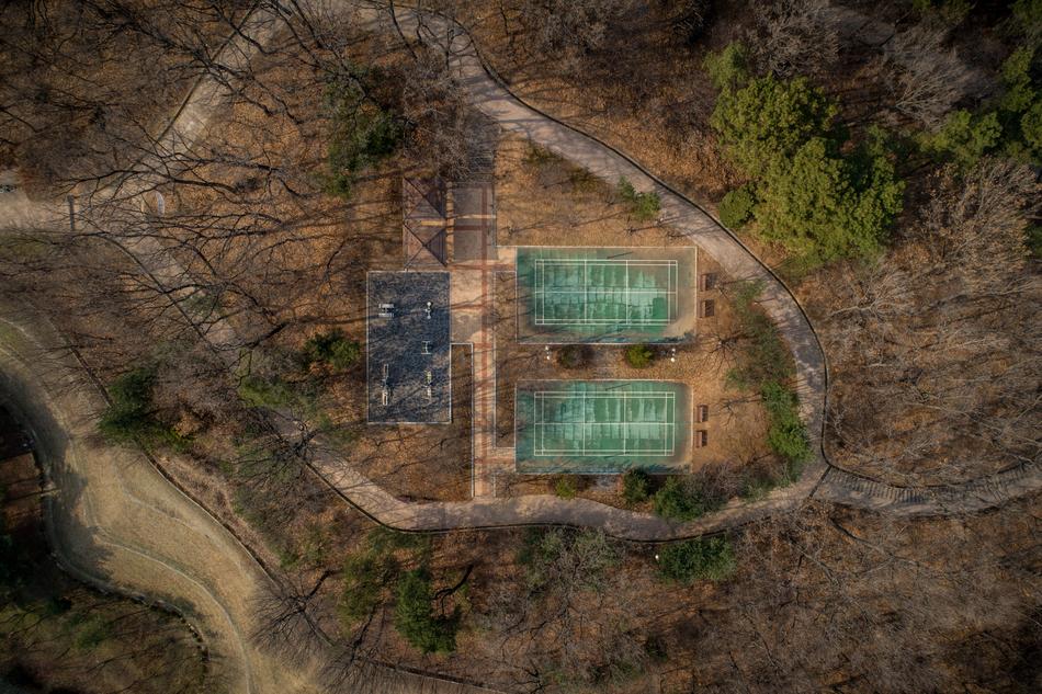 Nature Wood Floor
