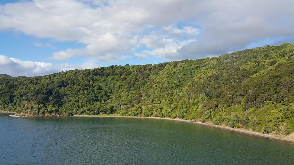 Nature Water Panoramic