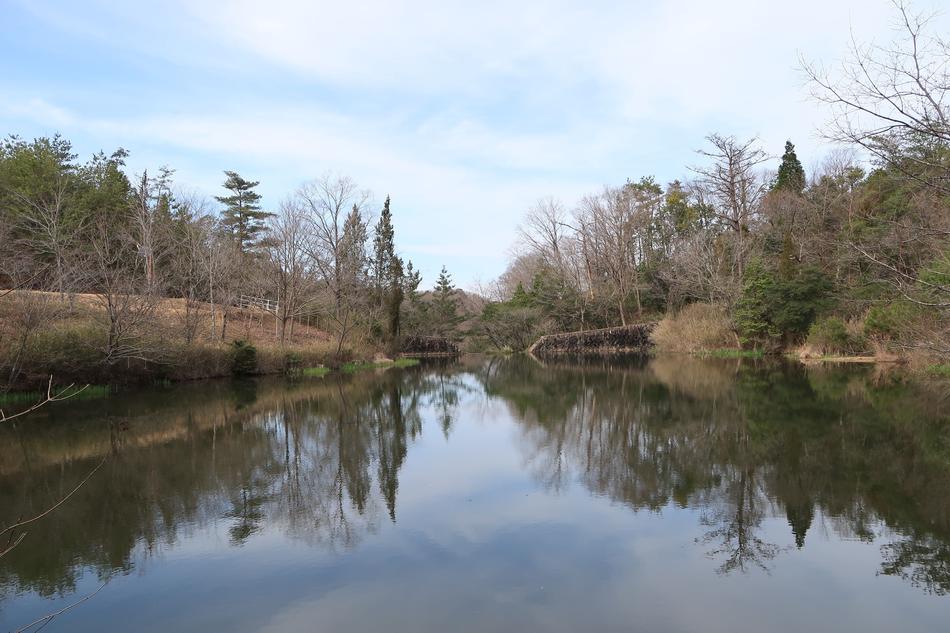 Waters Natural Reflection