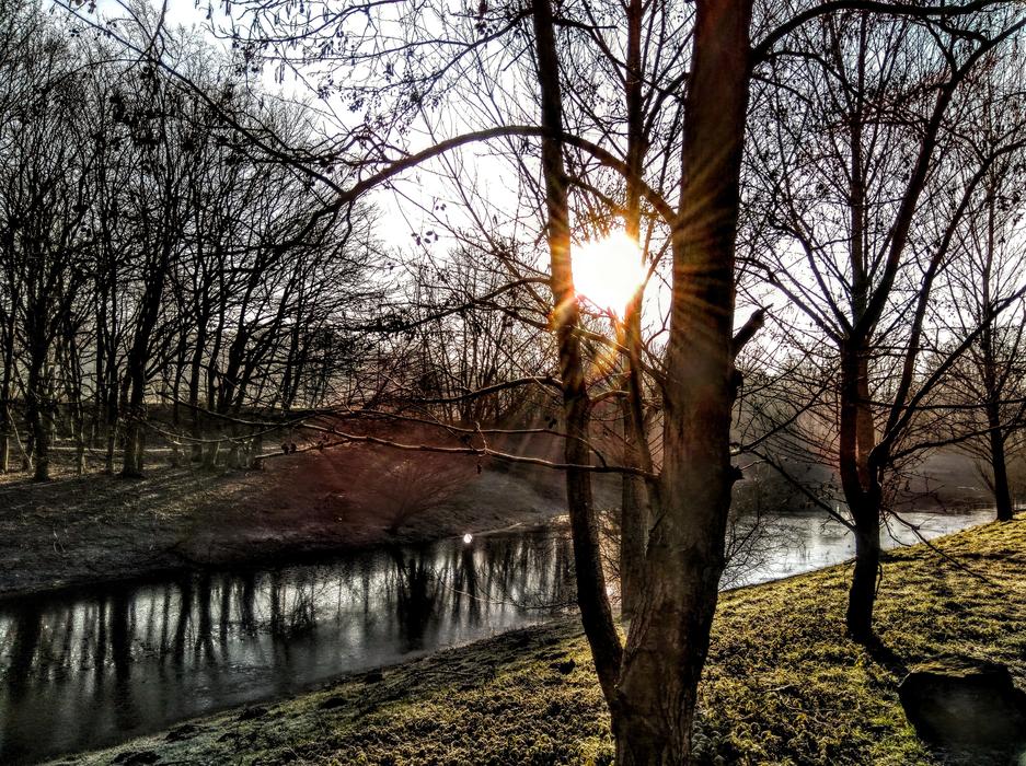 sunlight in the trees in the park