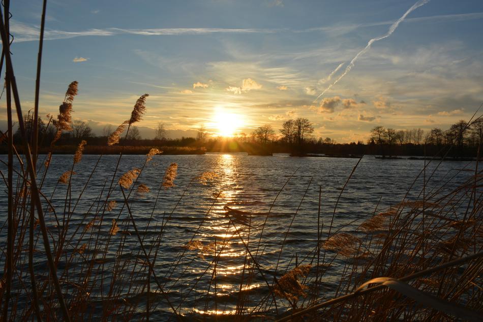 Water Nature Pond