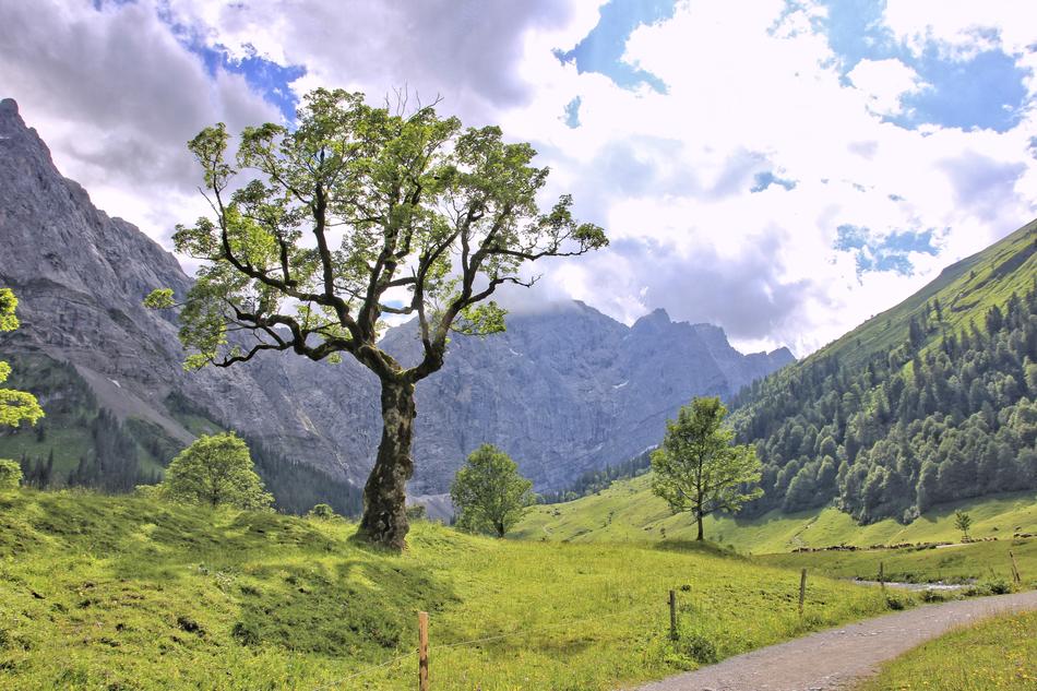 Nature Mountain Landscape