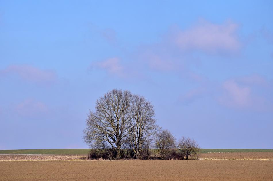 Nature Sky Landscape