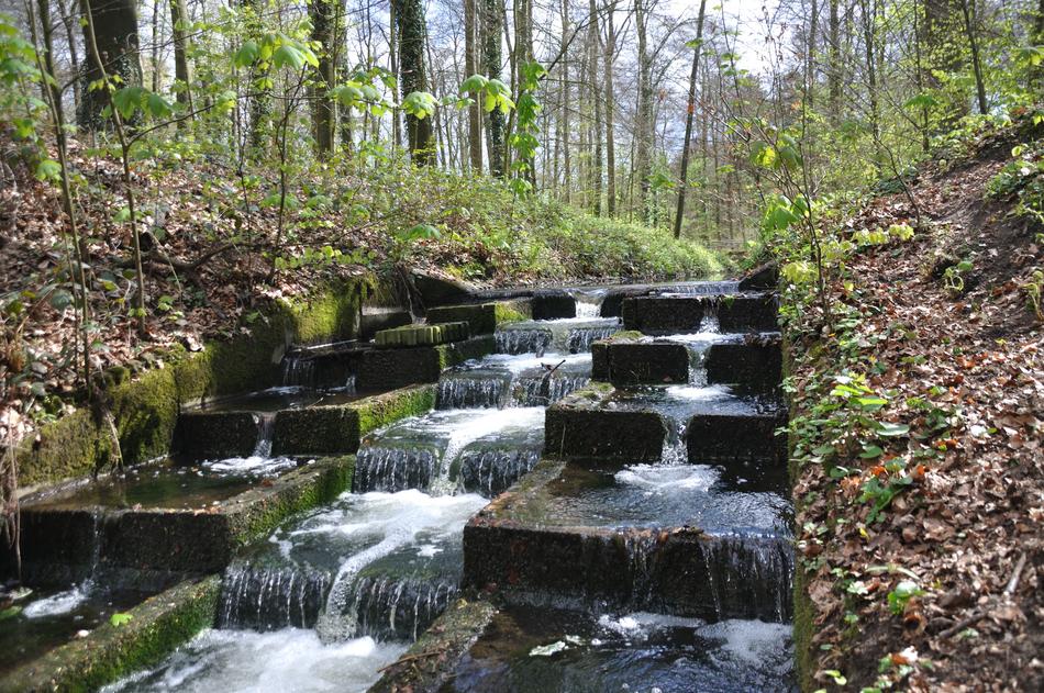 Waters Nature Wood
