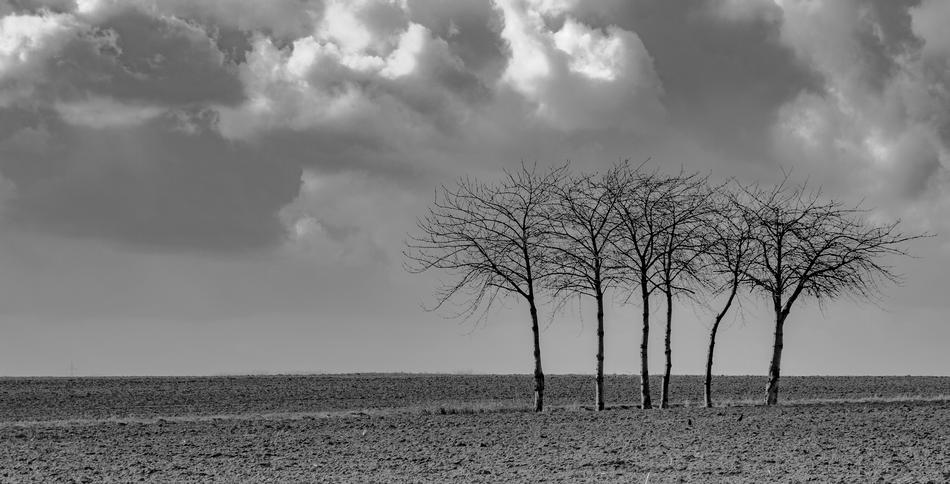 Nature Landscape Panorama
