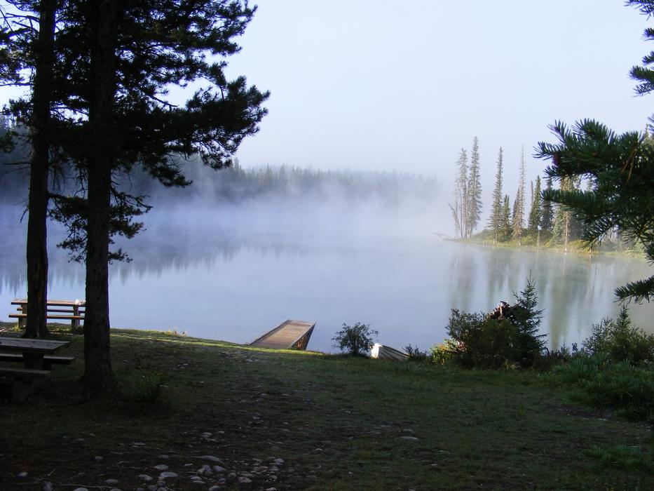 fish bridge in the lake