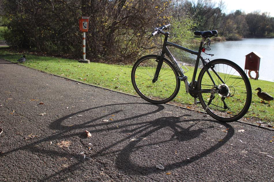 Bike Sunny Nature