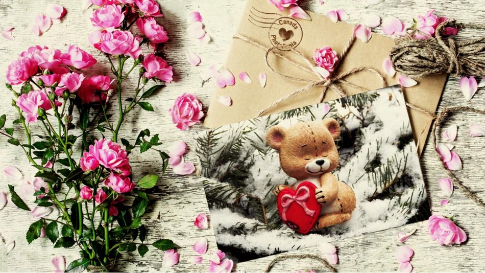 Flower Plant Rose