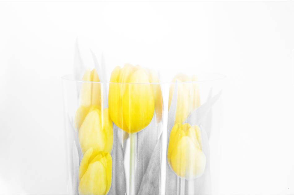 Bright Easter Nature