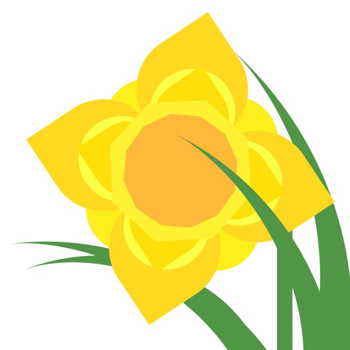 clipart daffodil narcissus spring