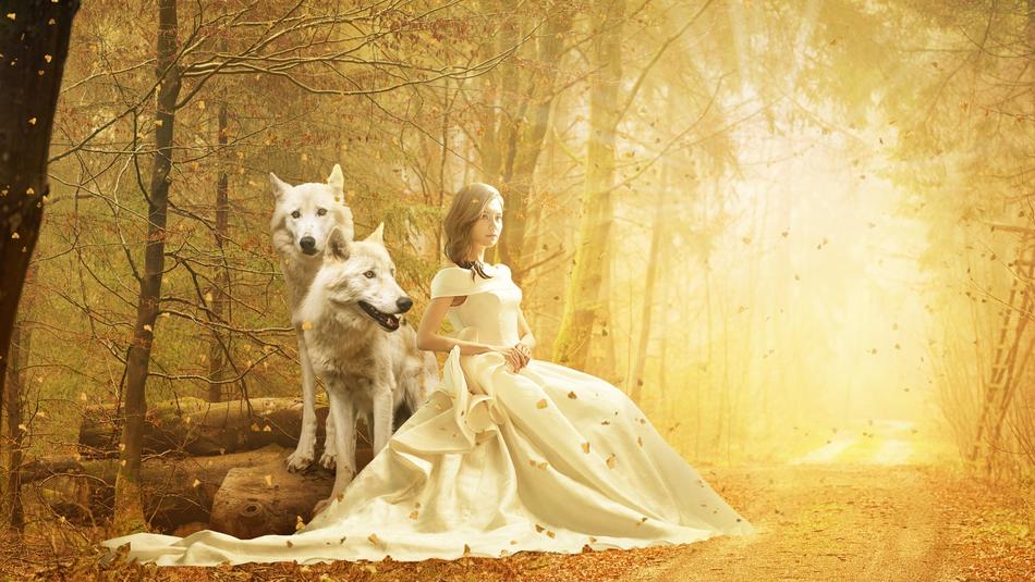 Fantasy Autumn Fall