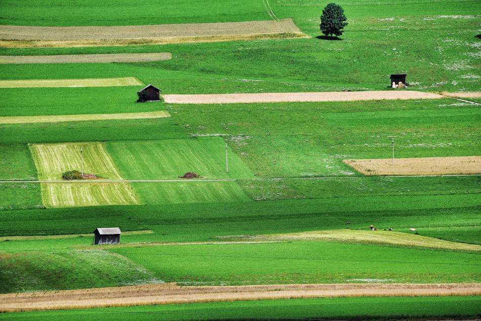 Green South Tyrol Mountain