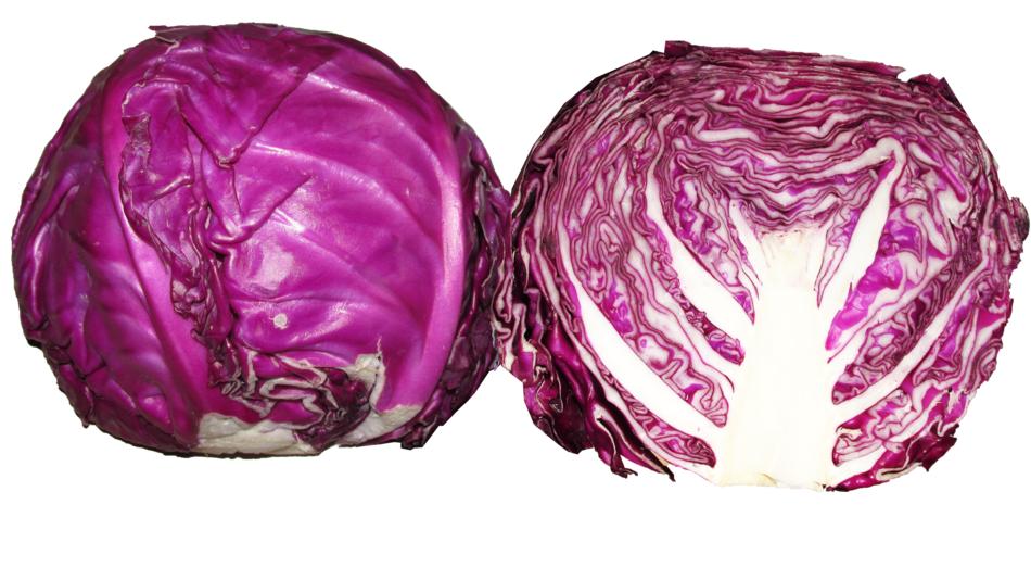 Healthy cauliflower on a white background