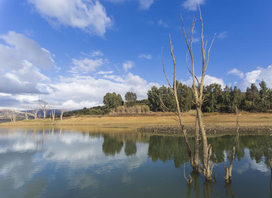 Landscape Algeria