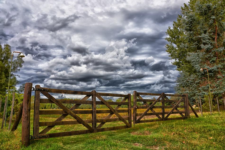 Wood Nature Outdoors