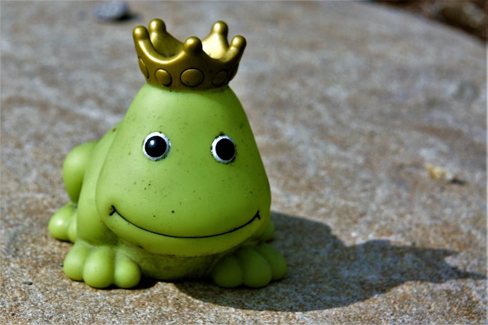 Frog Green Toys