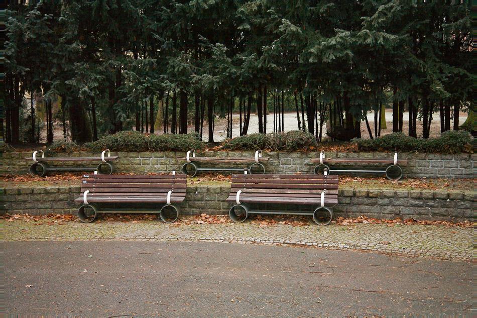 Tree Nature Empty Transport