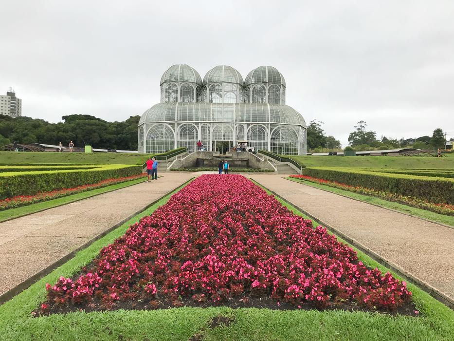 Flower Lawn Field