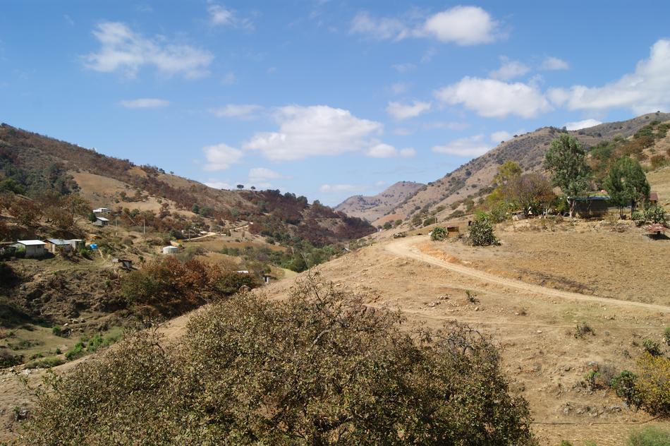 Path Mexico Field