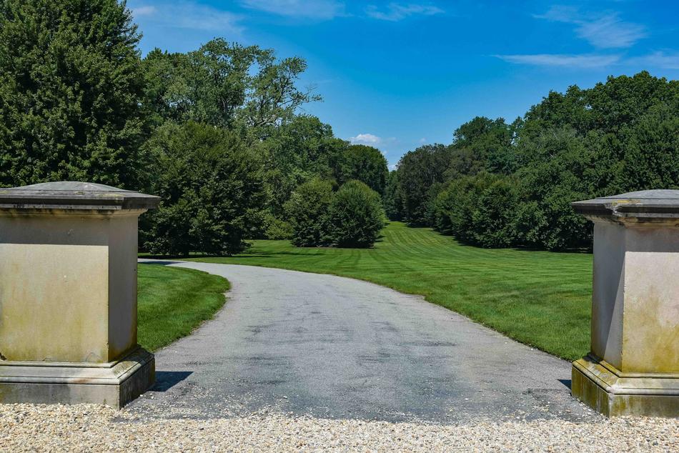 Estate Driveway Grass Trees