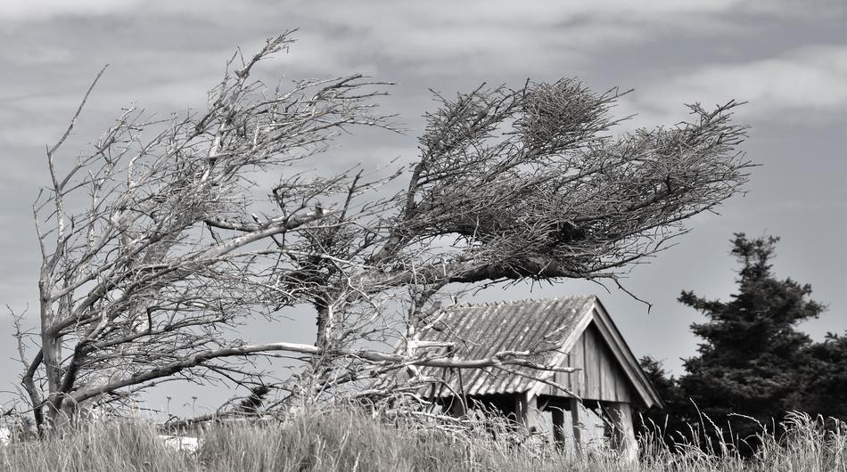 old house in the wind