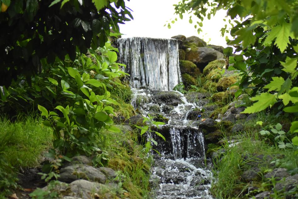 Nature Wood Outdoors