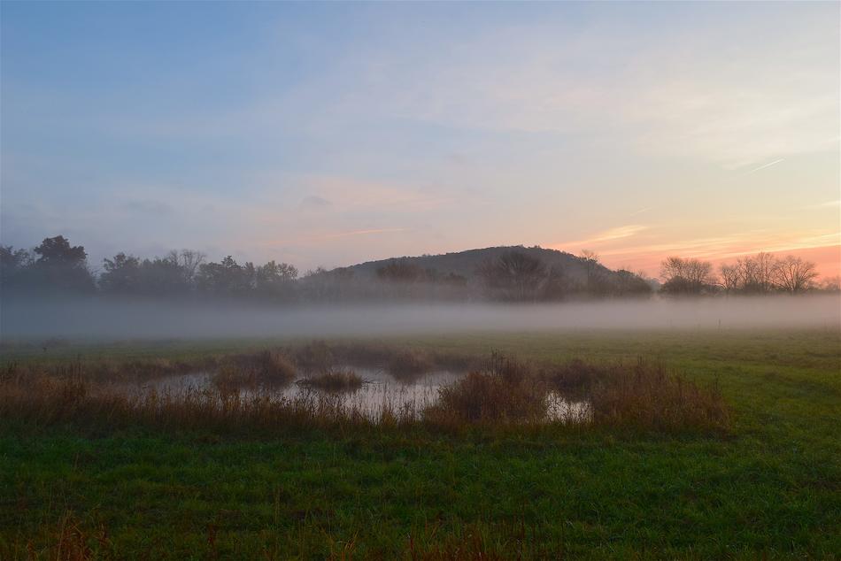 sunrise in a misty field