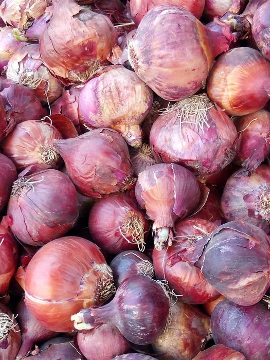 Crop of colored onions
