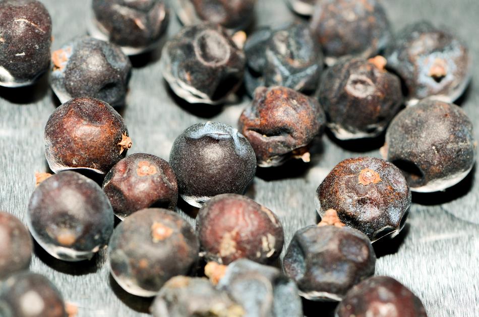 Juniper Berry Berries