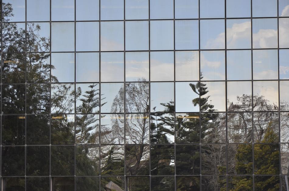 Reflection Vegetation Glassware