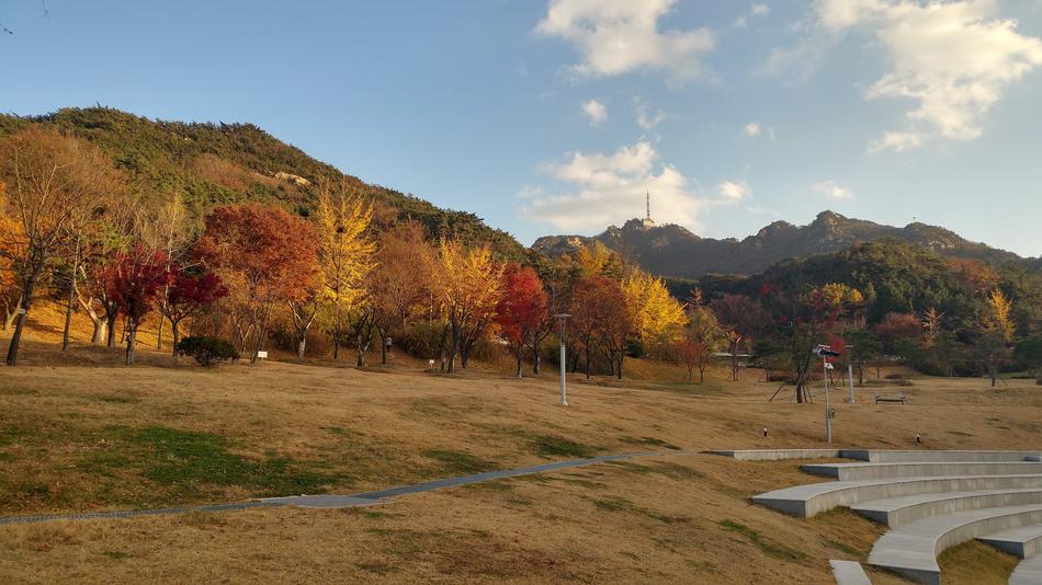 autumn landscape in the field by the river