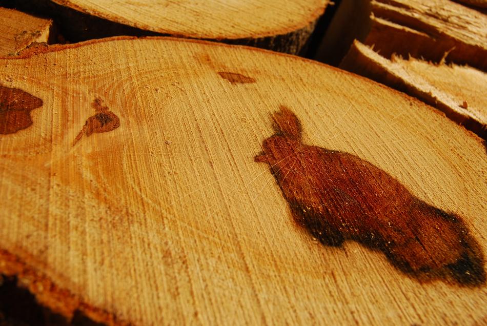 Wood Structure Logs