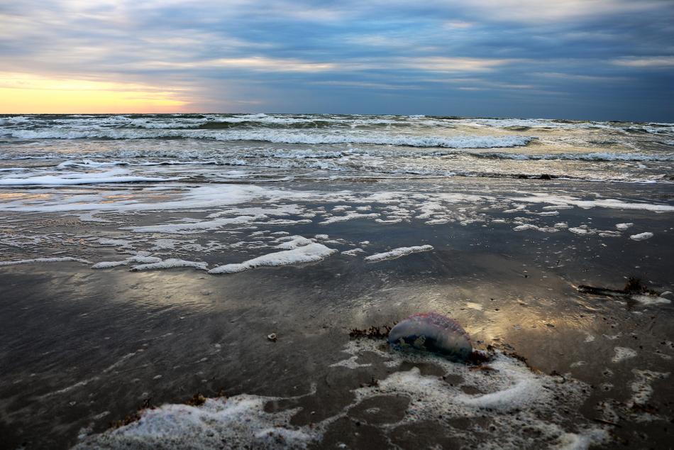 Water Sea Landscape