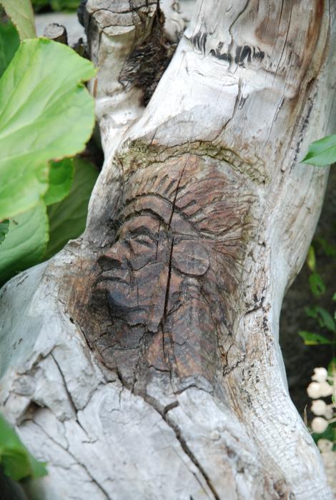 Tree Nature Wood