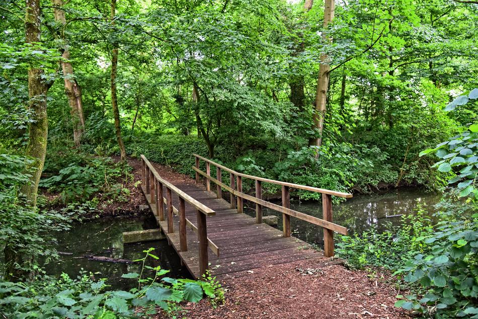 village road bridge trees