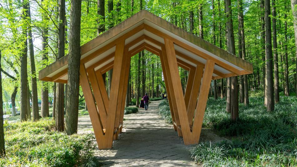 tree house park
