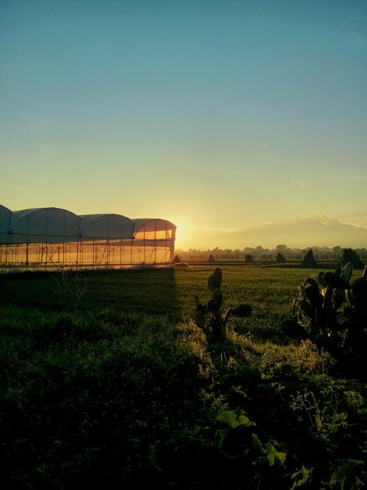 Greenhouse Sky Landscapes