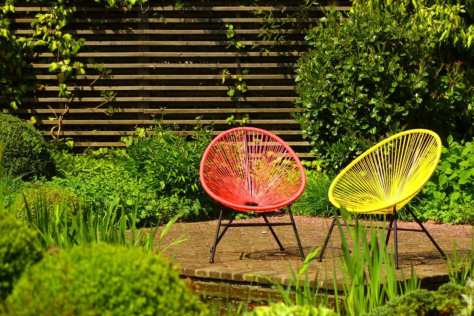 Garden Nature Summer