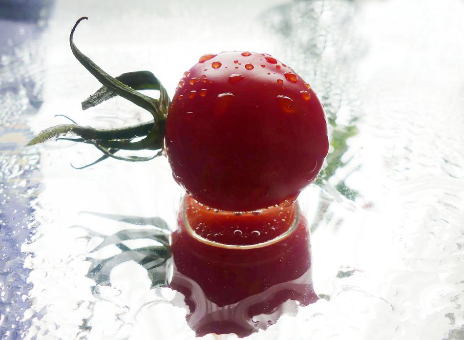 cherry tomato with water drops