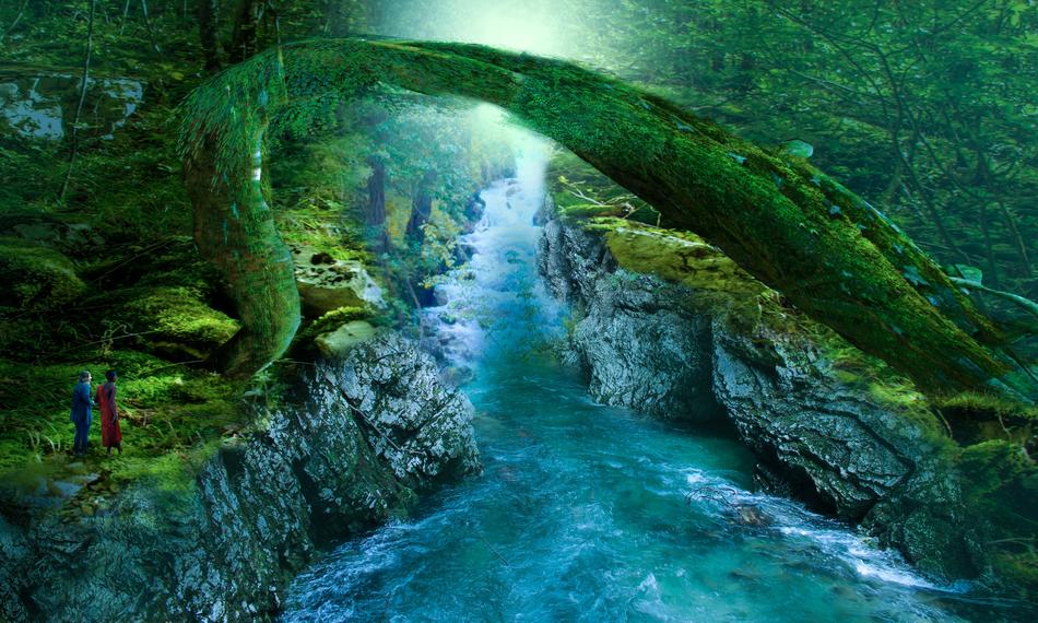 River Forest Rapids