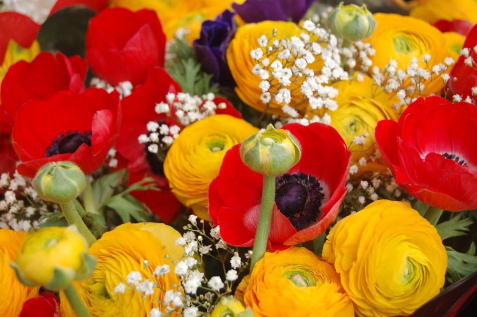 Color Flower Floral Bouquet De