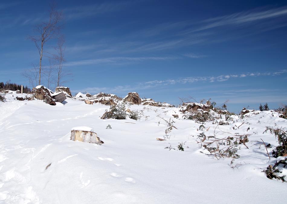 Snow Winter Cold