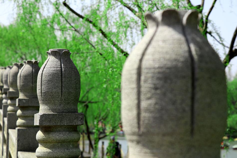 Garden Stone Nature