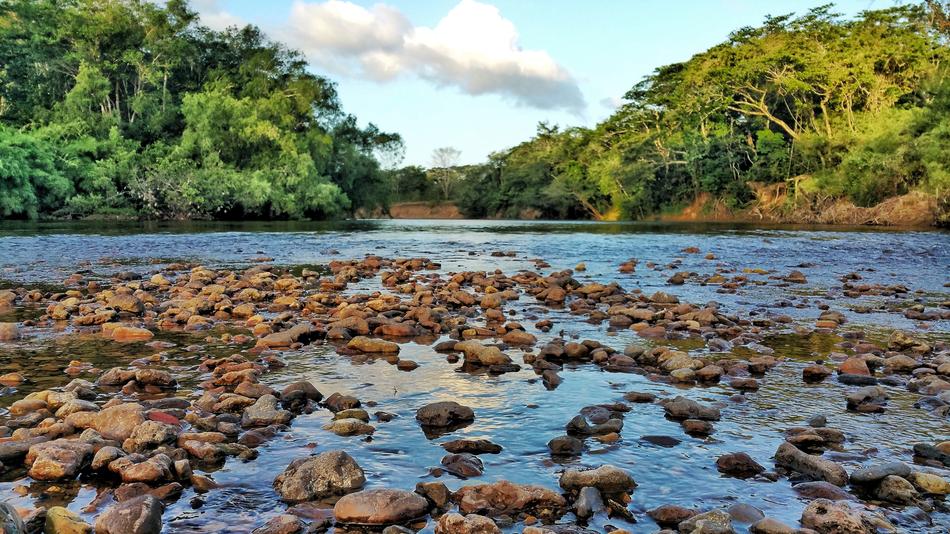 River Rocks Water