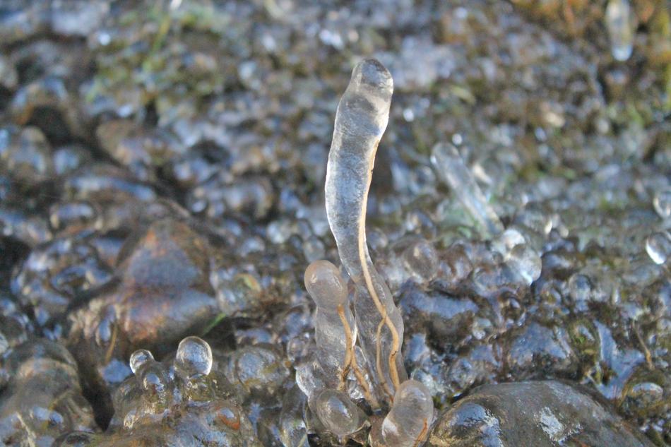 Nature Body Of Water Cold